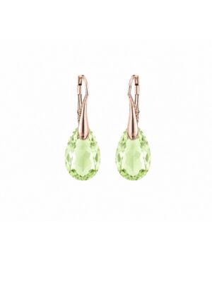 Ag925, Swarovski® kõrvarõngad