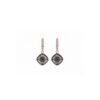 Ag925 Swarovski® kristallidega kõrvarõngad